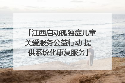 江西启动孤独症儿童关爱服务公益行动 提供系统化康复服务