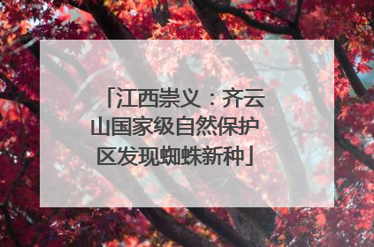 江西崇义：齐云山国家级自然保护区发现蜘蛛新种