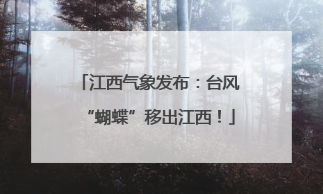 江西气象发布：台风“蝴蝶”移出江西！