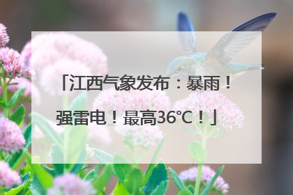 江西气象发布：暴雨！强雷电！最高36℃！