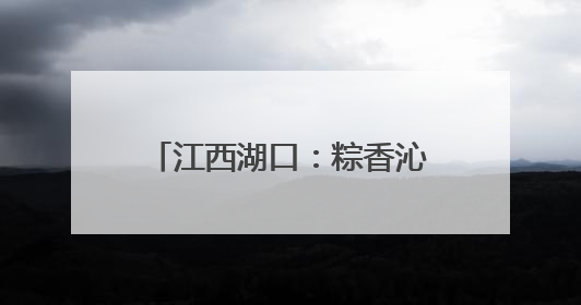 江西湖口：粽香沁 情满怀 “一顿饭的陪伴”暖人心