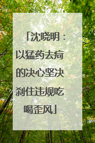 沈晓明：以猛药去疴的决心坚决刹住违规吃喝歪风