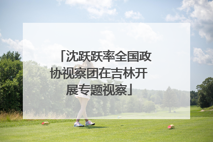 沈跃跃率全国政协视察团在吉林开展专题视察