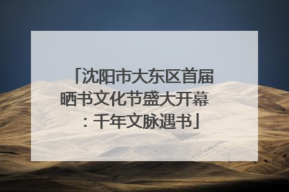 沈阳市大东区首届晒书文化节盛大开幕：千年文脉遇书