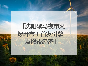 沈阳歇马夜市火爆开市！首发引擎点燃夜经济