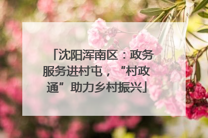 沈阳浑南区：政务服务进村屯，“村政通”助力乡村振兴
