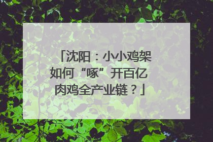 沈阳：小小鸡架如何“啄”开百亿肉鸡全产业链？