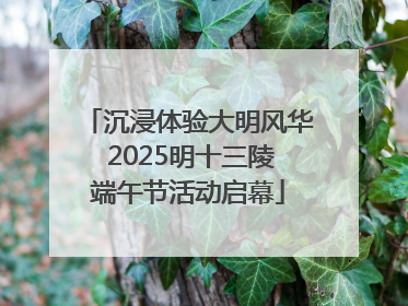 沉浸体验大明风华 2025明十三陵端午节活动启幕