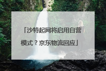 沙特起网将启用自营模式？京东物流回应