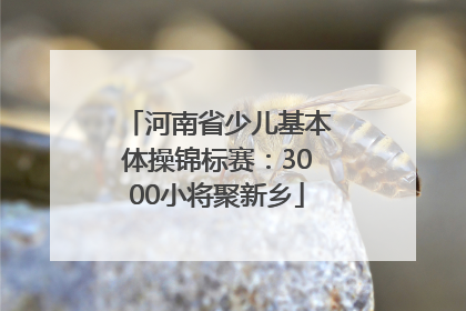 河南省少儿基本体操锦标赛：3000小将聚新乡