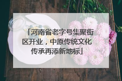 河南省老字号集聚街区开业，中原传统文化传承再添新地标