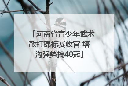 河南省青少年武术散打锦标赛收官 塔沟强势摘40冠