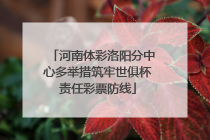 河南体彩洛阳分中心多举措筑牢世俱杯责任彩票防线