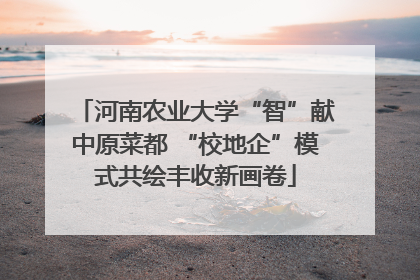 河南农业大学“智”献中原菜都 “校地企”模式共绘丰收新画卷