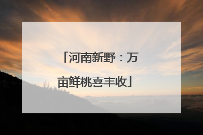 河南新野：万亩鲜桃喜丰收