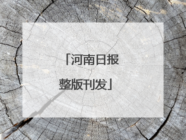 河南日报整版刊发