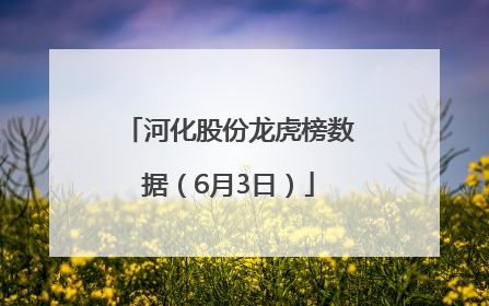 河化股份龙虎榜数据（6月3日）