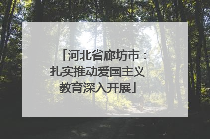 河北省廊坊市：扎实推动爱国主义教育深入开展