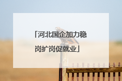 河北国企加力稳岗扩岗促就业