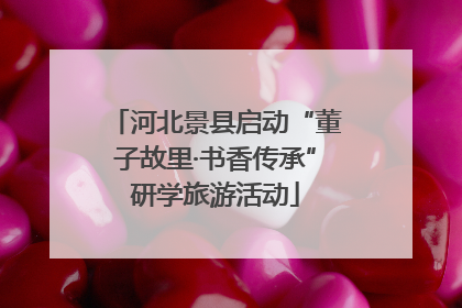 河北景县启动“董子故里·书香传承”研学旅游活动