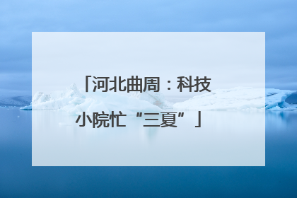 河北曲周：科技小院忙“三夏”