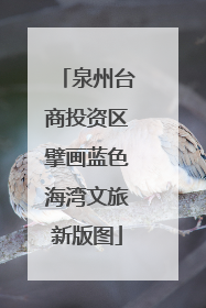 泉州台商投资区擘画蓝色海湾文旅新版图