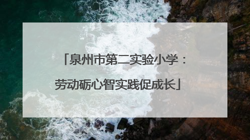 泉州市第二实验小学：劳动砺心智实践促成长