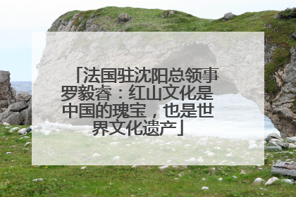 法国驻沈阳总领事罗毅睿：红山文化是中国的瑰宝，也是世界文化遗产