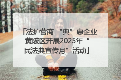 法护营商 “典”惠企业 黄陂区开展2025年“民法典宣传月”活动