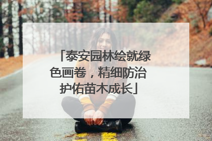 泰安园林绘就绿色画卷，精细防治护佑苗木成长