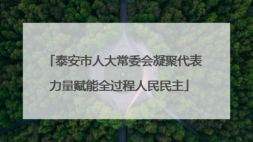 泰安市人大常委会凝聚代表力量赋能全过程人民民主