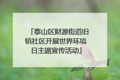 泰山区财源街道旧镇社区开展世界环境日主题宣传活动