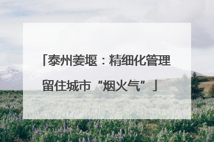 泰州姜堰：精细化管理留住城市“烟火气”