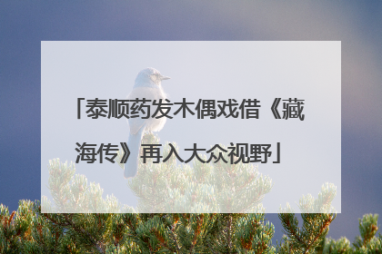 泰顺药发木偶戏借《藏海传》再入大众视野