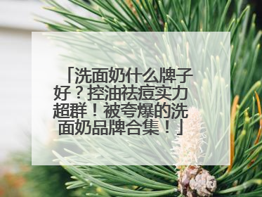 洗面奶什么牌子好？控油祛痘实力超群！被夸爆的洗面奶品牌合集！