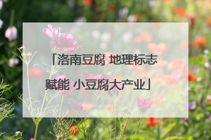 洛南豆腐 地理标志赋能 小豆腐大产业