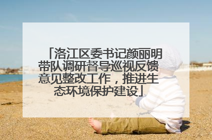 洛江区委书记颜丽明带队调研督导巡视反馈意见整改工作，推进生态环境保护建设