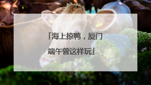 海上掠鸭，厦门端午曾这样玩