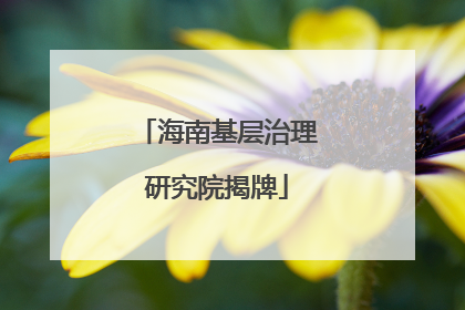 海南基层治理研究院揭牌