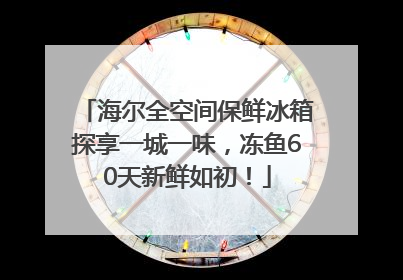 海尔全空间保鲜冰箱探享一城一味，冻鱼60天新鲜如初！
