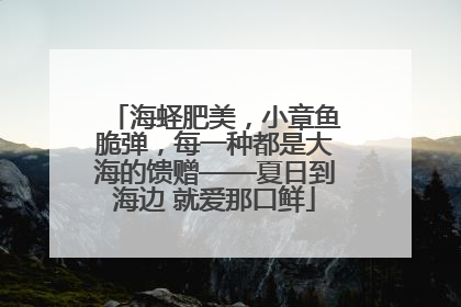 海蛏肥美，小章鱼脆弹，每一种都是大海的馈赠——夏日到海边 就爱那口鲜