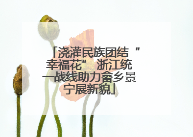 浇灌民族团结“幸福花” 浙江统一战线助力畲乡景宁展新貌