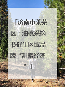 济南市莱芜区：油桃采摘节催生区域品牌“甜蜜经济”