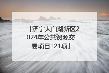 济宁太白湖新区2024年公共资源交易项目121项