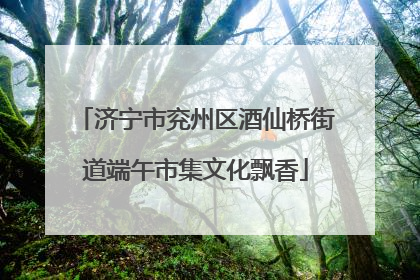 济宁市兖州区酒仙桥街道端午市集文化飘香