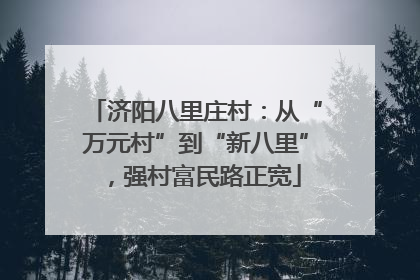济阳八里庄村：从“万元村”到“新八里”，强村富民路正宽
