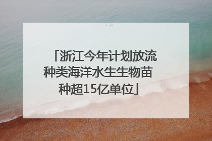 浙江今年计划放流种类海洋水生生物苗种超15亿单位