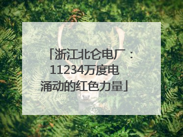 浙江北仑电厂：11234万度电涌动的红色力量
