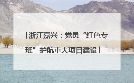 浙江嘉兴：党员“红色专班”护航重大项目建设