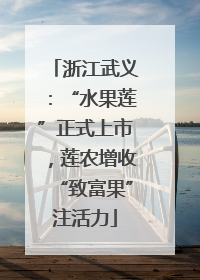 浙江武义：“水果莲”正式上市，莲农增收“致富果”注活力